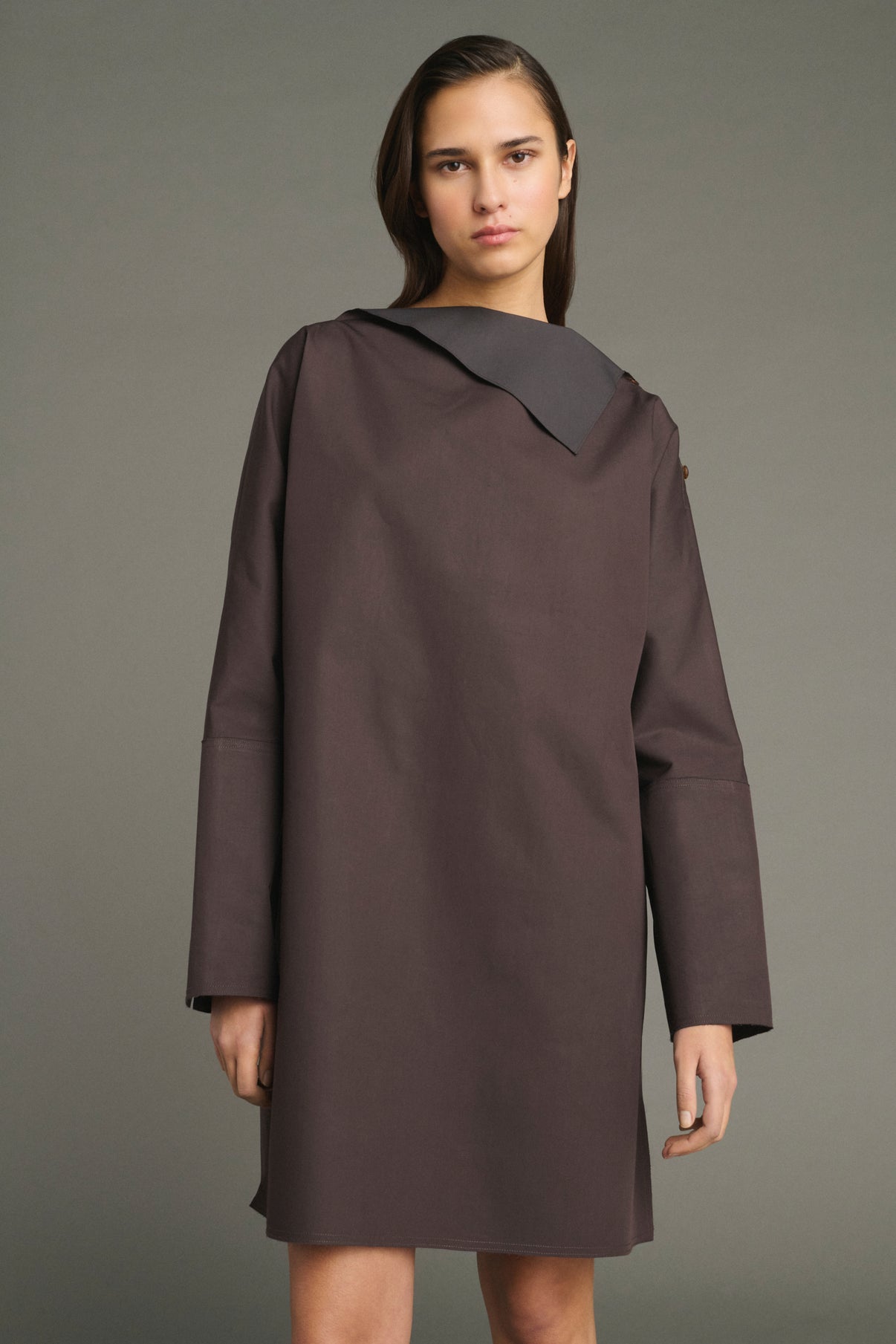 Liris dress - Fig/Dark Brown - Cotton - Women vue 3